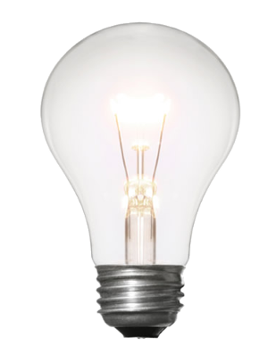 bulb